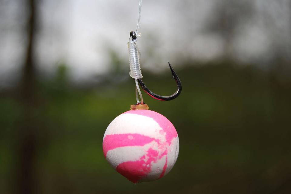 pop-up - 2464043839162850016641119344637n.jpg